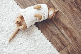 Solid wood has been one of the most popular types of flooring in the u.s. Engineered Wood Planks And Other Warm Floors Builddirect Blog