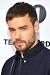 Evolution Liam Payne Hair