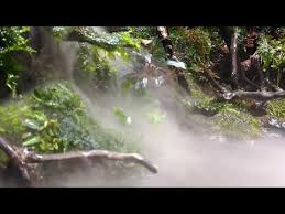 Simple Paludarium Aquascape With Mist Maker Youtube Akuarium