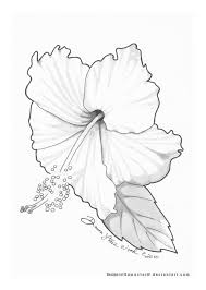 Hibiscus Tattoo Design Final By Dawnstarw On Deviantart Hibiscus Tattoo Hibiscus Drawing Flower Line Drawings