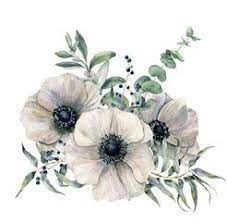 Watercolor White Anemone Bouquet Hand Painted Flower Eucalyptus Leaves And Juniper Isolated On Wh Flower Painting Watercolor Flower Background Flower Drawing