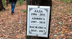Добавляй наш @tgraphiobot, чтобы быть в курсе последних новостей и получить ссылку на новое зеркало сервиса в случае нашей блокировки. Pohoronit Nelzya Utilizirovat Otkuda Kladbishe Domashnih Zhivotnyh V Monastyrskom Lesu Novosti Obshestva