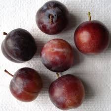 Image result for prunus domestica renkloda althana