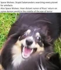 Check spelling or type a new query. Pic Of Friends Dog Perfect Space Wolves Meme 9gag