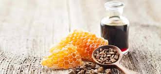 Sıvı Propolis Nasıl Kullanılır? - Datça Köy Ürünleri