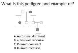 solved what is this pedigree and example of autosomal do