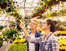 Towneley Garden Centre In East Lancashire Burnley Bb10 4sd