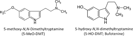 The methods outlined below will focus on the materials and techniques used for vaporizing freebase dmt. Plant And Fungal Hallucinogens As Toxic And Therapeutic Agents Springerlink