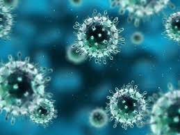 Lokale ausbrüche in haushalten und kindergärten. Adeno Virus Deta Elis Ats Webseite