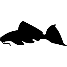 Download Fish Silhouette Vector Svg Icon 3 Svg Repo