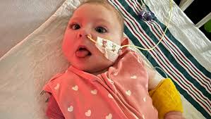 Fundraiser for Shane Gilbert by Kellee Comeau : Help support baby Nora  Gilbert and her family.