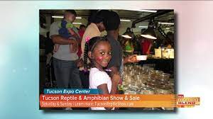 Tucsons exotic pet shop, tucson, az. Tucsons Exotic Pet Shop 3115 N 1st Ave Tucson Az 2021