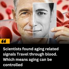 The aging can be controlled. Study