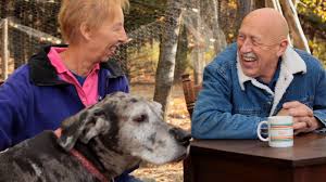 A veterinarian for 47 years, pol has built quite the practice in weidman, michigan, with 23,000 clients, and patients ranging from white mice and snakes to cows and 2,600 pound horses. Incredible Dr Pol Hollandse Dierenarts In Amerika Usa365 Nl