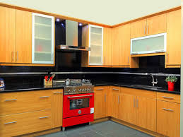 kitchen cabinet ideas