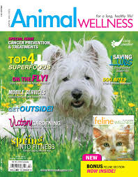 Cat sedation for travel can help your cat sleep or remain calm during a long flight or car ride. V13i2 Apr May 2011 By Redstone Media Group Issuu