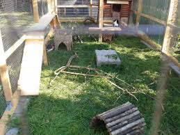 Das kaninchengehege sollte groß und hoch genug sein, damit sie sich im winter warmlaufen können. Kaninchen Meerschweinchen Und Hamster Beim Tierarzt