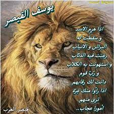 اذا هرم الاسد و سقطت له الانياب بقلم القيصر شاعر العرب monica bellucci photo ex quotes animals