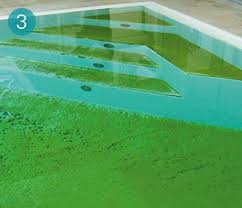 Ist Ihr Poolwasser Grun Algen Im Pool Als Problem Bayrol