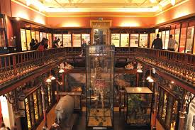 The town is located in east anglia about 10 miles away fr. Visit Ipswich Museum Ipswich Museums