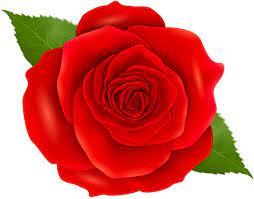 Red Rose Transparent Clip Art Red Roses Clip Art Vintage Beautiful Flowers Images