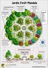 Pin On Gardens