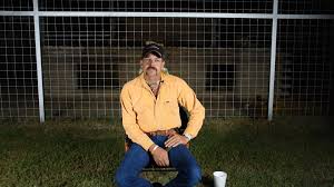 Meow is a virtual cat pet who walks on your screen while you're browsing the web. Why Is Joe Exotic The Way He Is A Look Into His Psychology Exclusive