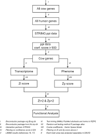 Flow Chart Of Female Reproductive System Flow Chart Of