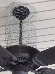 So far, ive just been removing the nests. How I Keep Birds Off Of My Porch Chicken Wire Is A Versatile Solution To Keep Birds From Building Nests On You Outdoor Ceiling Fans Ceiling Fan Ceiling Lights
