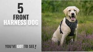 Dogs Juxzh Soft Front Range Dog Harness 3m Reflective No