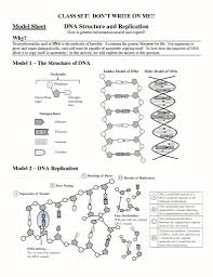 Students label and color the different parts of a dna strand. Key Transcription And Translation Practice Worksheet Transcription And Translation Worksheet1 With Key