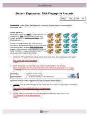 Lar analysis of gene expression. Gizmo6 Revised Dna Analysis Pdf Name Date Student Exploration Dna Fingerprint Analysis Inq 20 Com Vocabulary Codon Dna Dna Fingerprint Genotype Course Hero