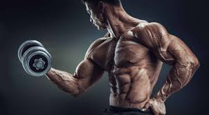 higher biceps sweeping triceps workout