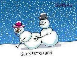 Schneetreiben Schnee Lustig Schnee Spruche
