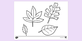 Primarygames is the fun place to learn and. Autumn Leaves Printable Colouring Page