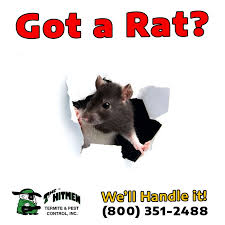 I'm chet the termite terminator rowland, owner of chet's termite & pest control, the company with the only checklist of 57 termite and pest control. Hitmen Pest Control Hitmenpestctrl Twitter