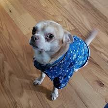 Stop by and see us one weekend at our adoption center just west of columbia or at one of our many adoption. The Demonic Dog Whose Adoption Post Went Viral Has Found A Home This Dogs Life
