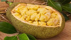 One serving of jackfruit can have anywhere up to 75 calories. Botanical Roots Why You Should Eat Jackfruit Loop Cayman Islands