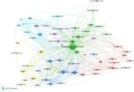Malaysia's healthcare system consists of two tiers: The North South Policy Divide In Transnational Healthcare A Comparative Review Of Policy Research On Medical Tourism In Source And Destination Countries Globalization And Health Full Text