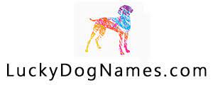 From classic dog names like lassie to trendy ones like bella, here's 500 popular female dog names. 170 Biblical Dog Names