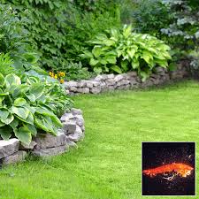 While some species are damaging pests that attack plant roots, other species are known to attack insect pests and are often introduced as an organic pest control measure. Nematodes For Grubs Grub Away Nematodes For Sale At Gardens Alive