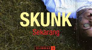 S.d terdiri dari 3 karakter yang diawali dengan karakter s dan diakhiri dengan karakter d dengan 0 huruf vokal. 60 Singkatan Perkataan Melayu Dalam Chat Masa Kini Sila Hadam Jangan Pitam Sudah