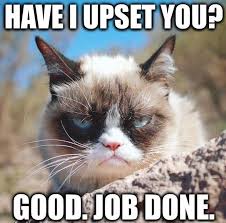 Pin By Emily Conner On 25 Best Grumpy Cat Meme S Cats Grumpy Cat Meme Grumpy Cat