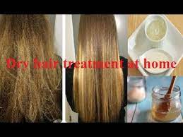 This is because the cuticles dry hair treatment at home might sound like an easy option, but you will need to start with professional help from your hair salon experts to truly see. Dry Hair Treatment At Home Natural Hair Treatment For Fizzy Rough Hairs Youtube