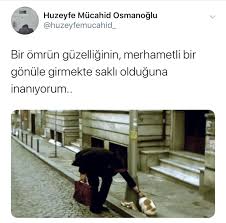Ayse Sahin Adli Kullanicinin Ortaya Karisik Panosundaki Pin Ilham Veren Alintilar Guzel Soz Ilahm Veren Alintilar
