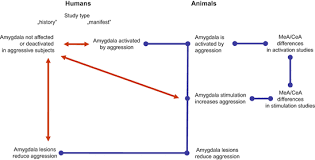 Basically, the moment my ipad connects to the wifi several other. Focal Points Of Aggression Control Springerlink