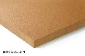 Image result for Ruspolia sp. no. 1 (Biegel 5407)