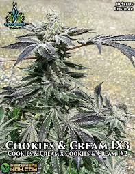 The cookie ruled the category until 1912 when national biscuit, later nabisco®, created oreo® to compete with hydrox®. Cookies Cream Ix3 Von Exotic Genetix Cannabis Sorten Infos