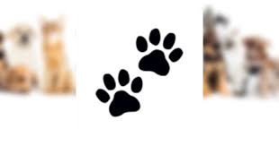 Dale E. Hankinson Jr. Obituary April 17, 2020