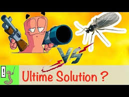 Sos Moucherons Crash Test Solution Ultime Youtube